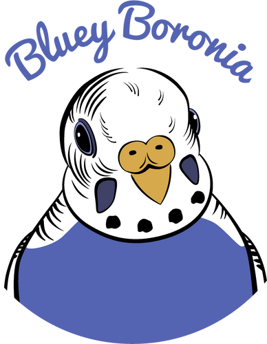 Bluey Boronia GIFT Card
